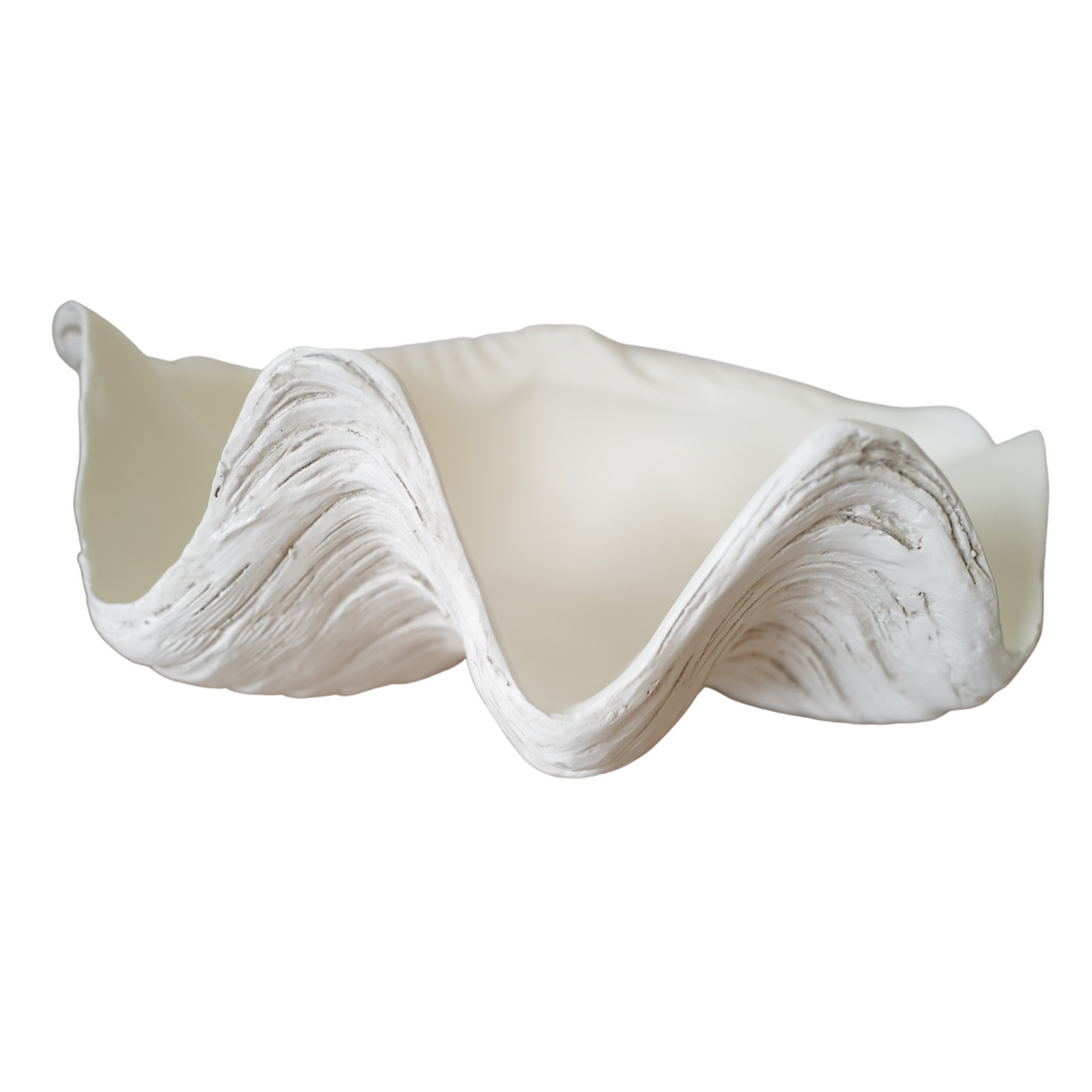 Faux Ruffled Clam - 50cm