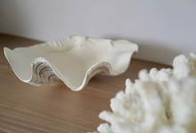 Load image into Gallery viewer, Faux Ruffled Clam - 24cm
