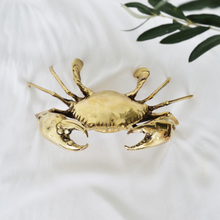 Load image into Gallery viewer, Marcel&#39; Brass Small Mud Crab
