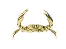 Load image into Gallery viewer, Marcel&#39; Brass Small Mud Crab
